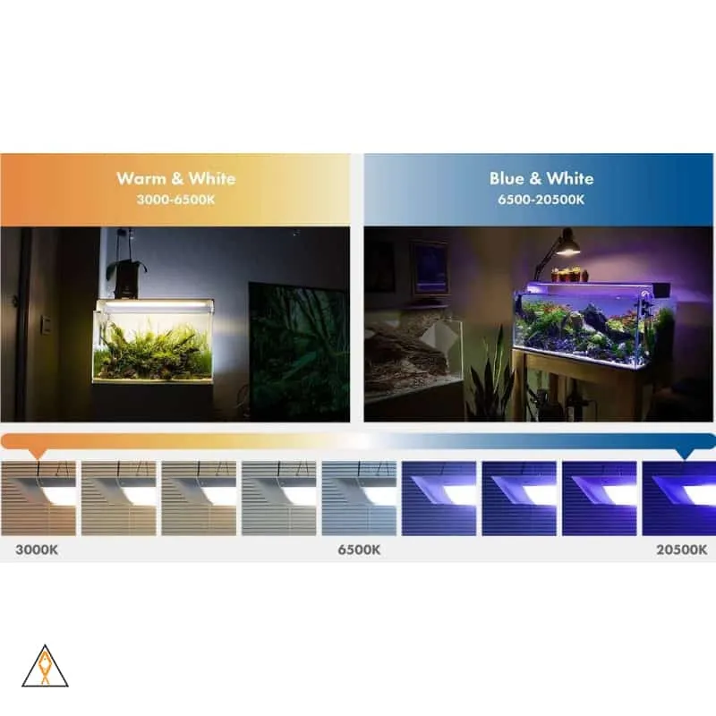 Flat ONE  LED Light - ONF