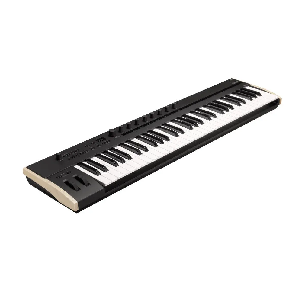 Korg Keystage 61 Polytouch 61-key MIDI 2.0 Keyboard Controller