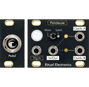 Ritual Electronics Pointeuse