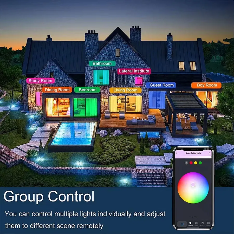 Smart Wifi Ceiling Light